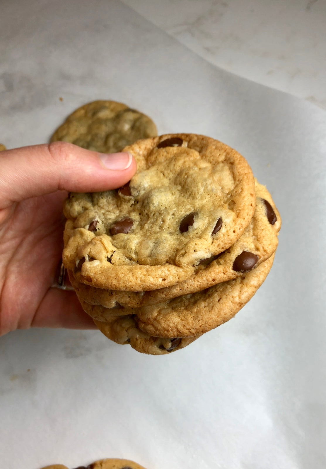 Perfect Chewy Chocolate Chip Cookies