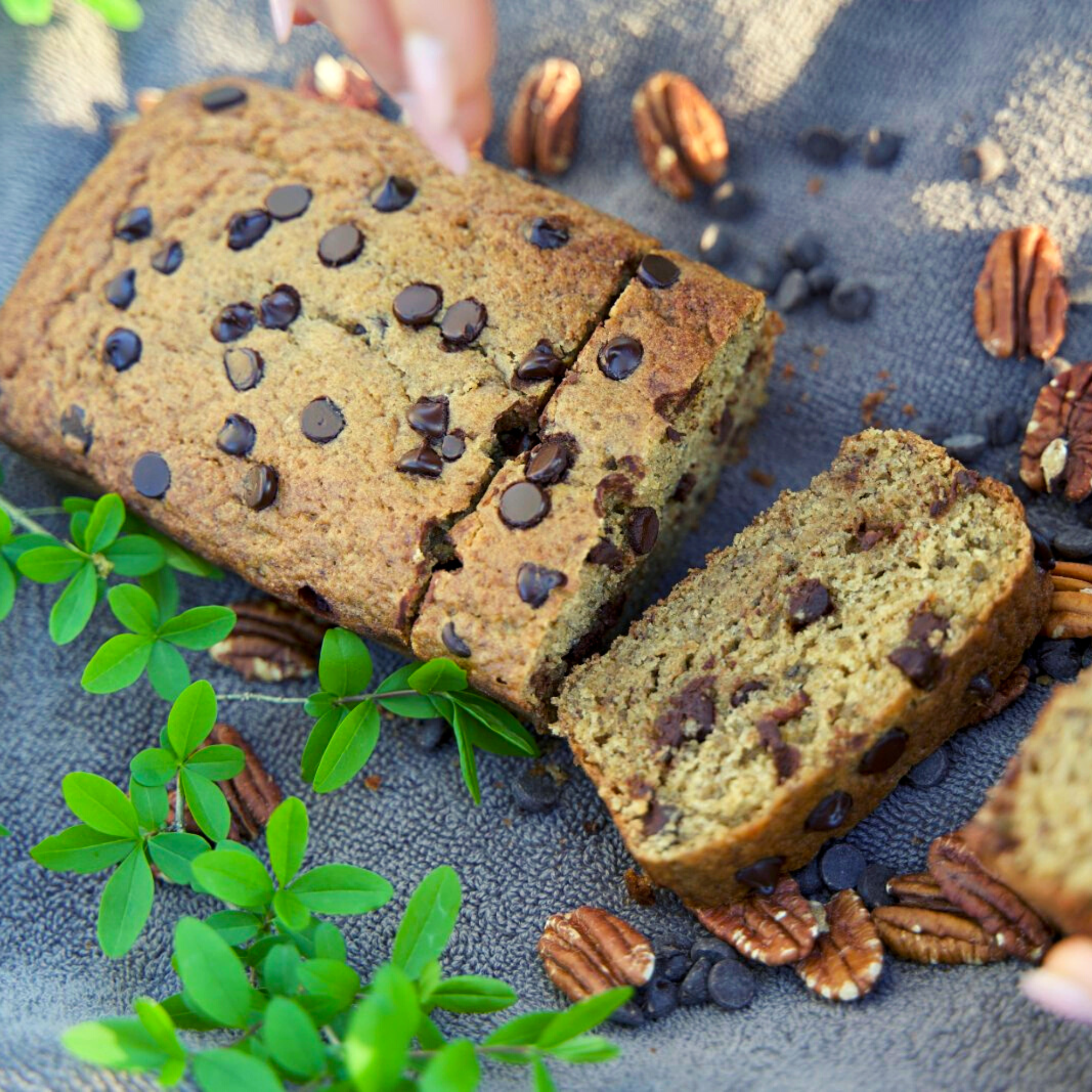 Decadent Protein Banana Bread