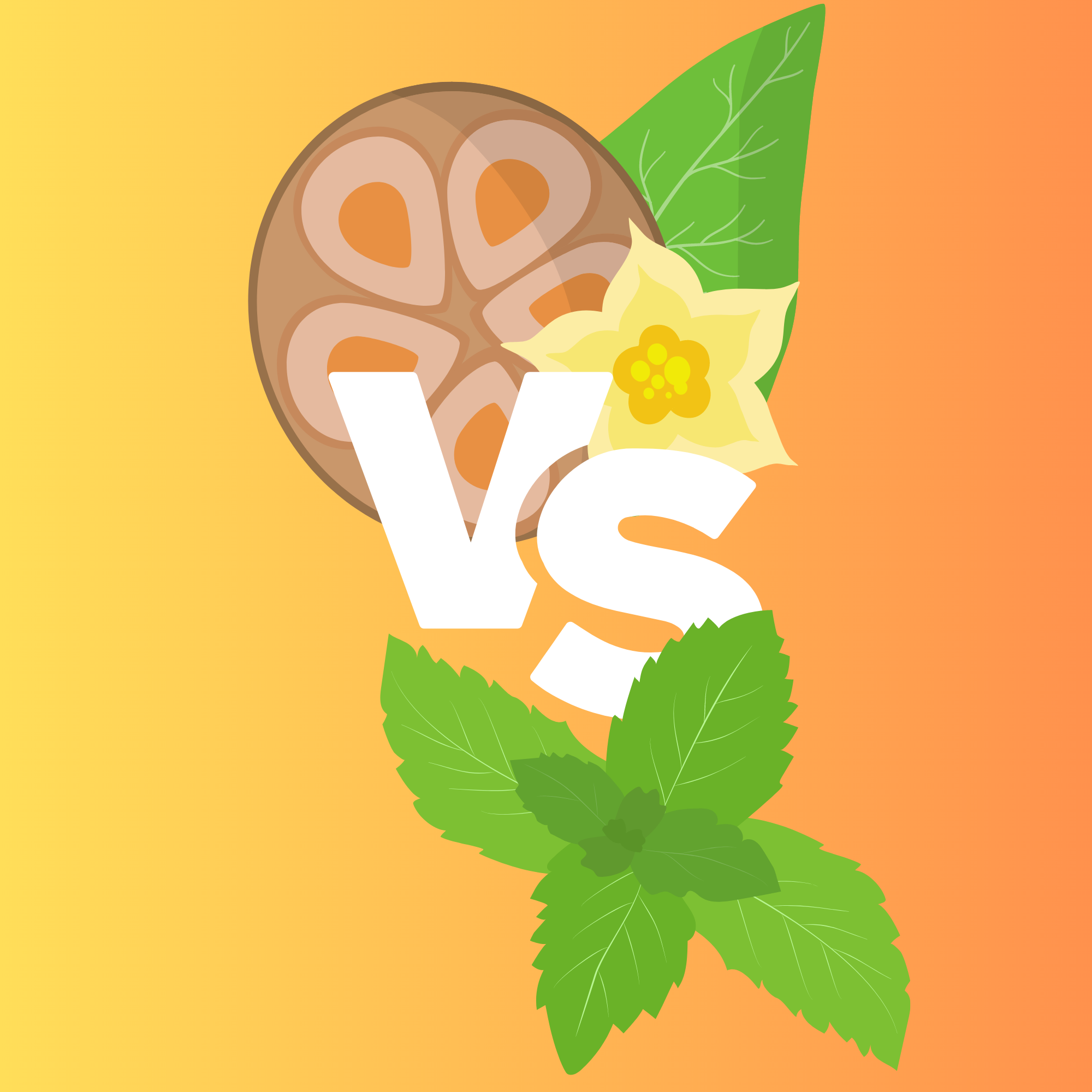Which Is Better: Stevia or Monk Fruit?