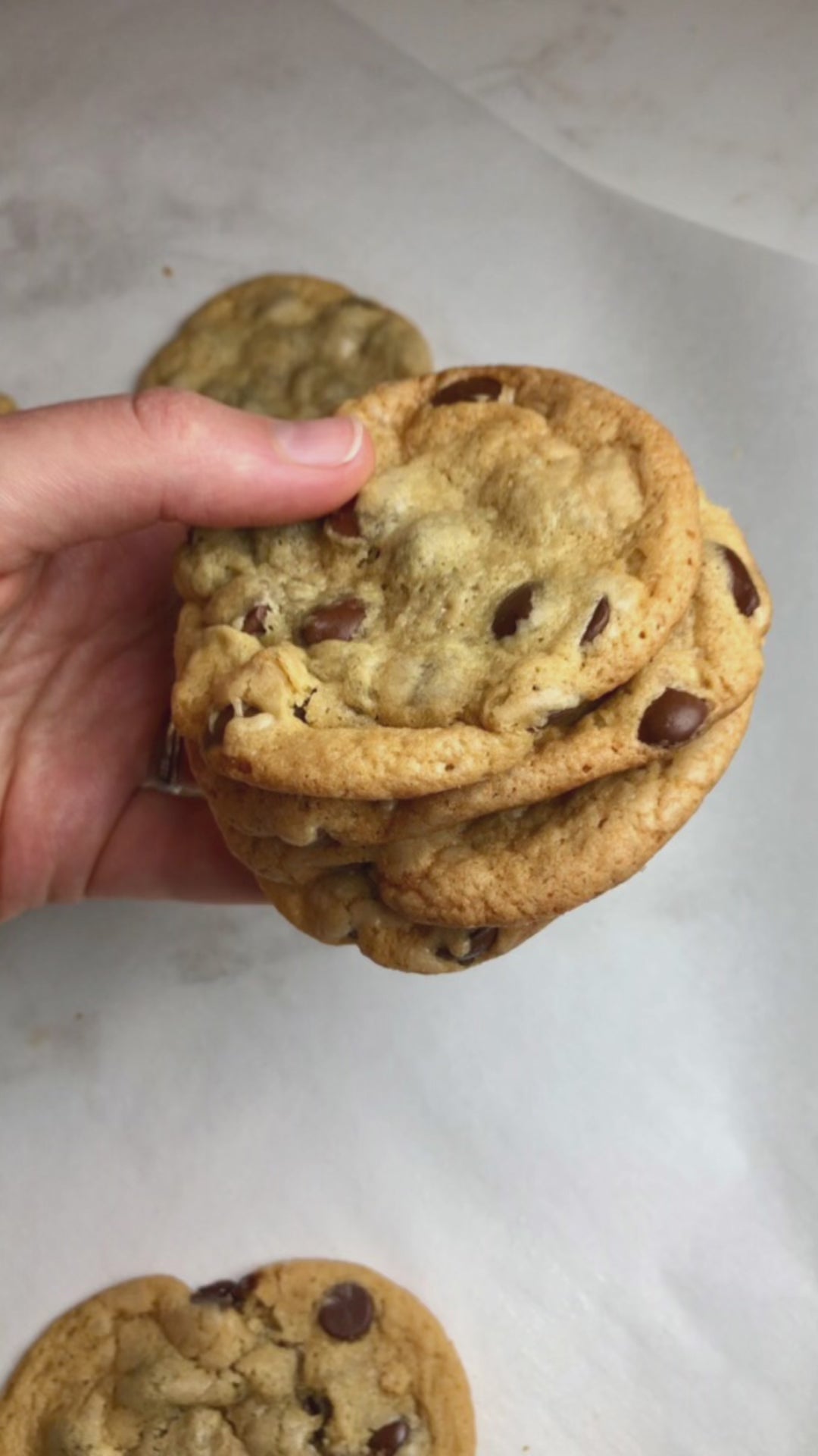 Chocolate Chip Cookie Recipe - Using MonkVee Monk Fruit Sweetener